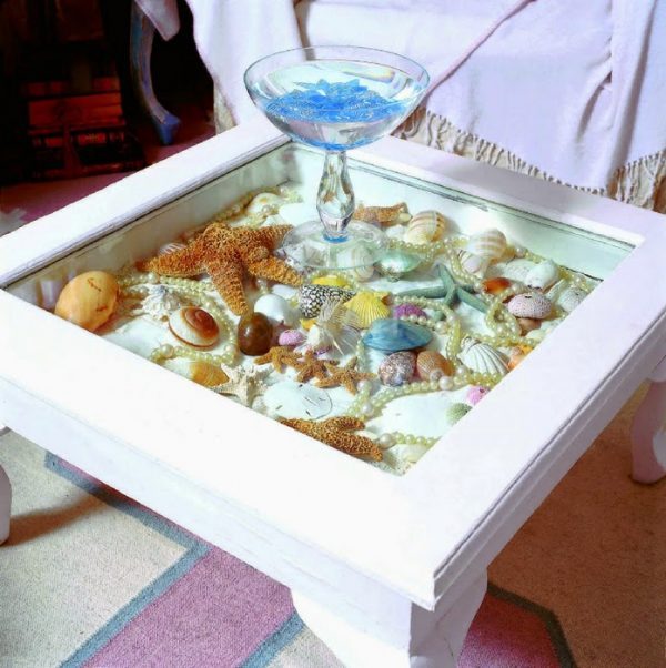 ways to display shells 