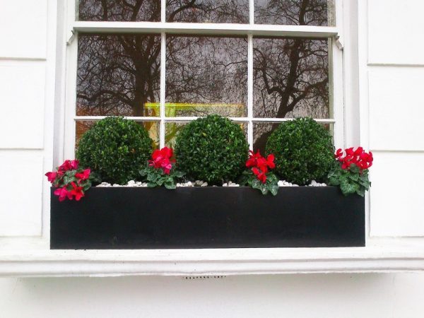 window flower box