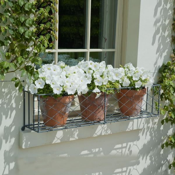 window flowers
