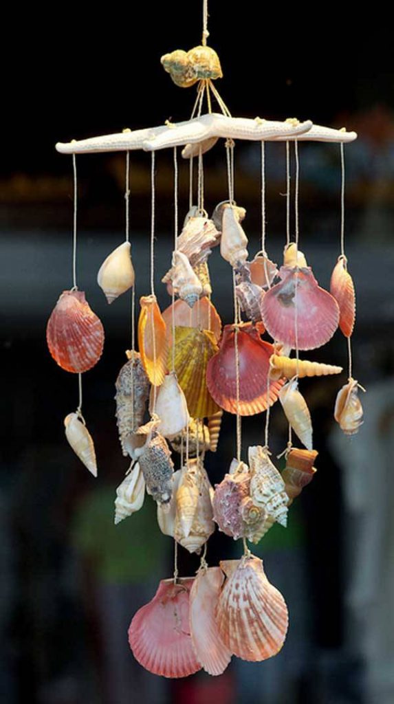 seashell decor