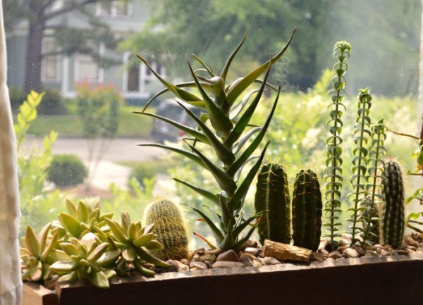 garden window decor 