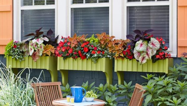 window planter boxes 