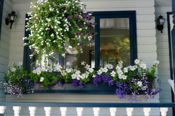 best garden window 