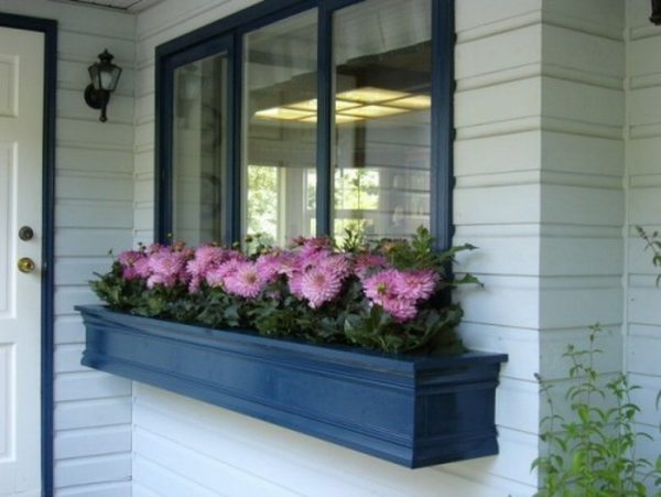 flower box under window 
