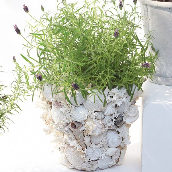 seashell decoration ideas 