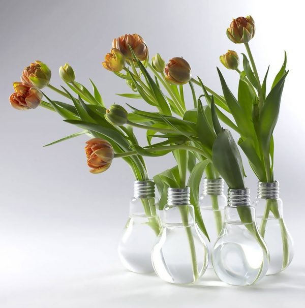 interesting-light-bulbs
