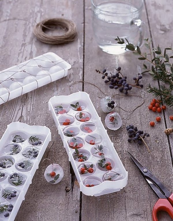 how-to-make-cool-ice-cubes