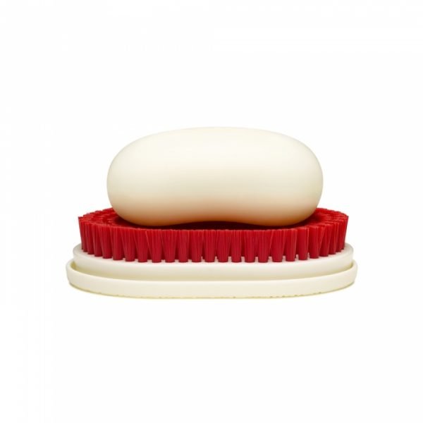 soap dish ideas