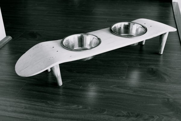skateboard projects 