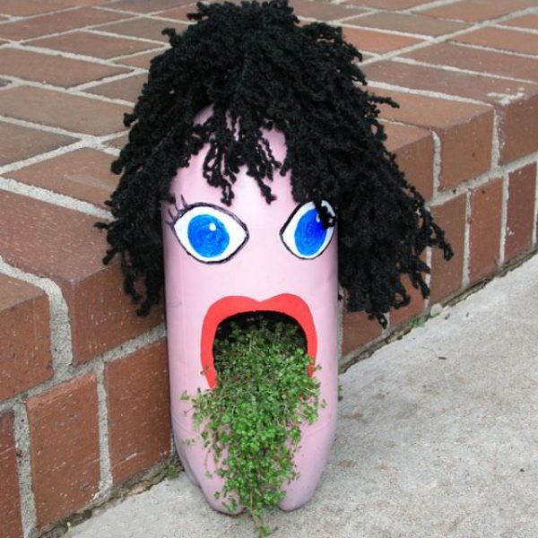 bottle plants ideas 