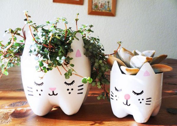 how to grow plants in plastic bottles