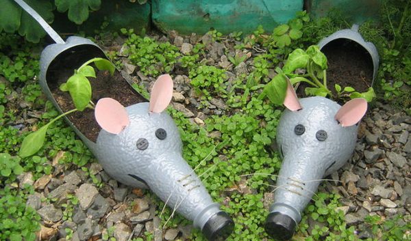 using plastic bottles for growing plants