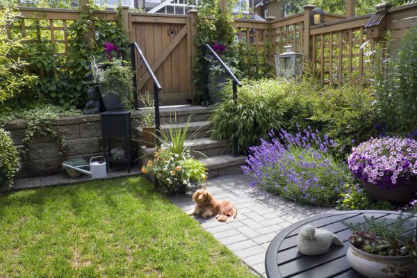 wood backyard fences