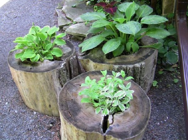 tree planter 