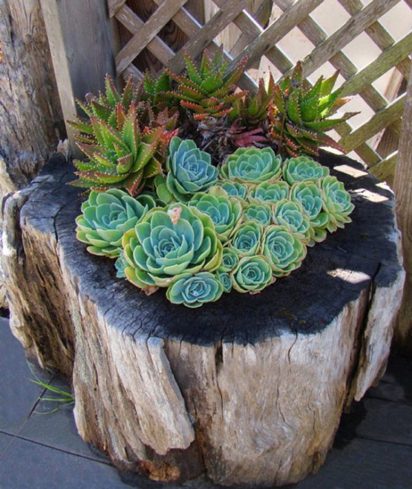 tree stump decorating ideas