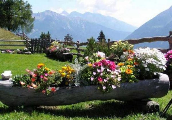 tree stump ideas garden