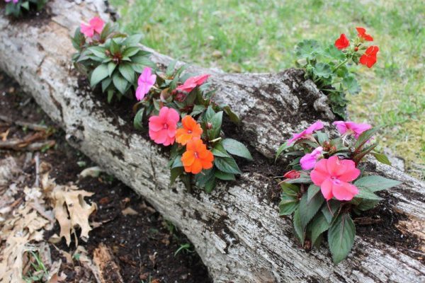 long planters