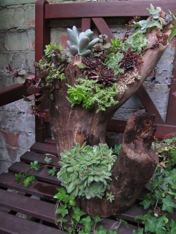 old tree stump ideas