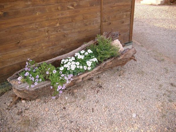 tree stump planter flowers