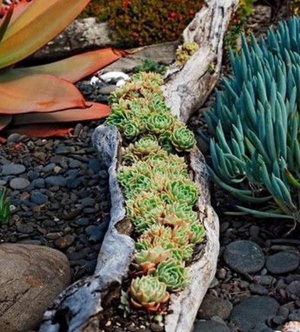 wood log planter