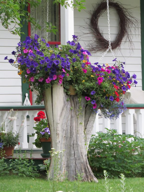 tree trunk planter