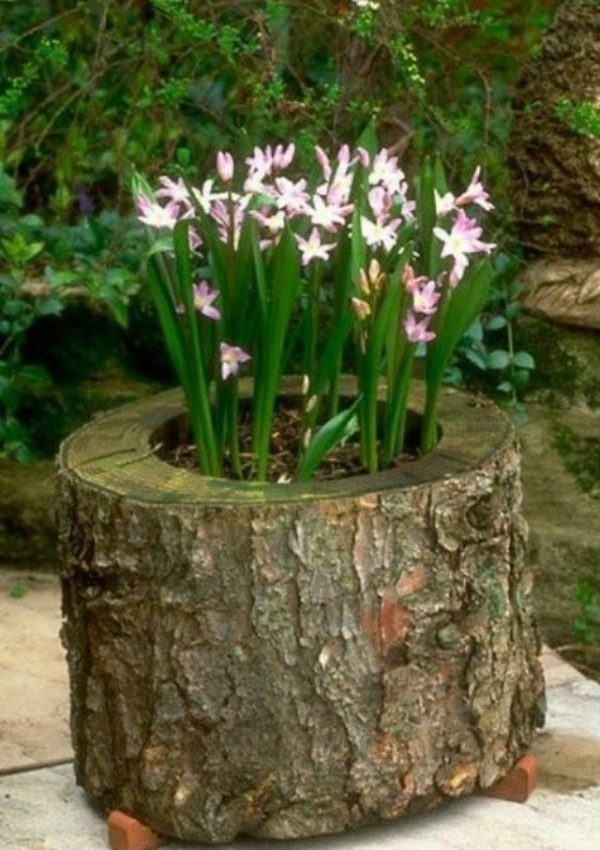 tree trunk planter box 