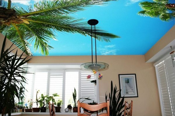 ceiling wallpaper designs