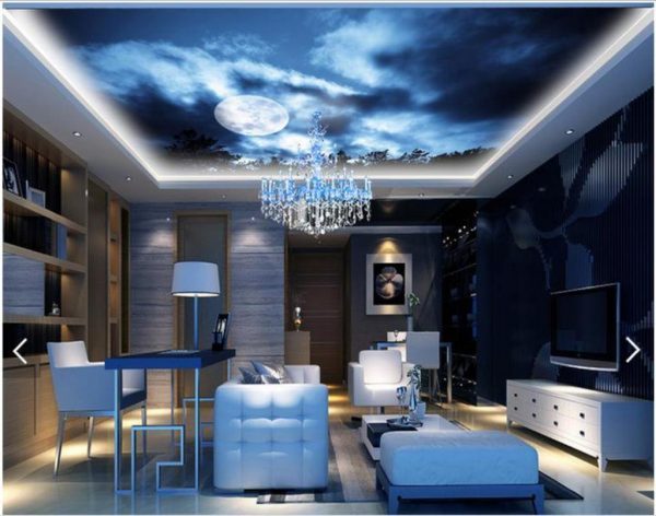 Alternative for white ceiling  3D  ceiling  design  ideas 