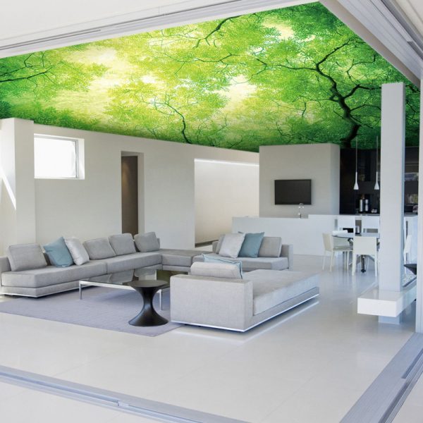 Alternative for white ceiling  3D  ceiling  design  ideas 