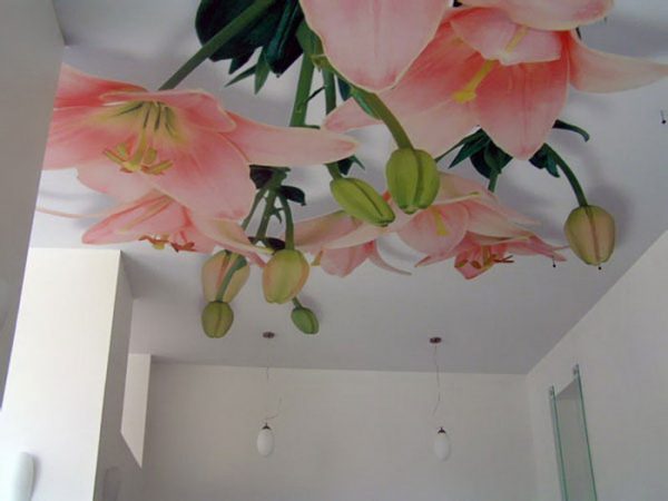 ceiling wallpaper murals