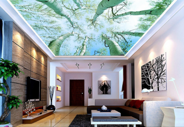nature murals