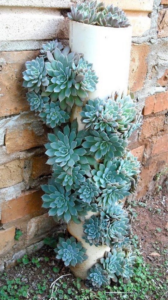 succulent planter box ideas