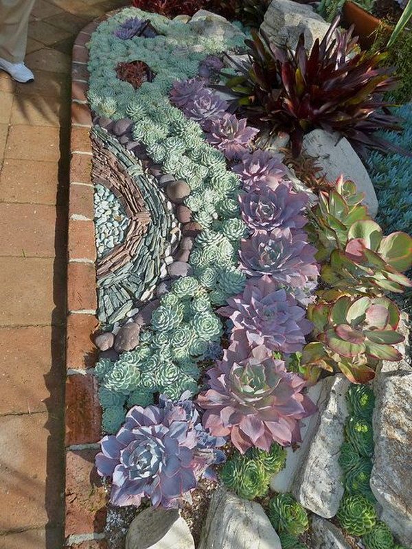 succulent front yard ideas