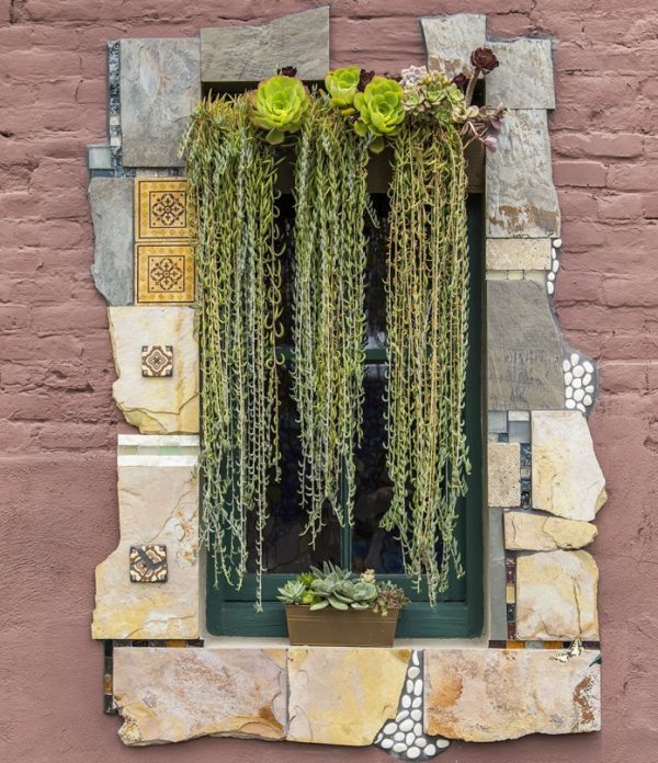 Succulent garden ideas 1