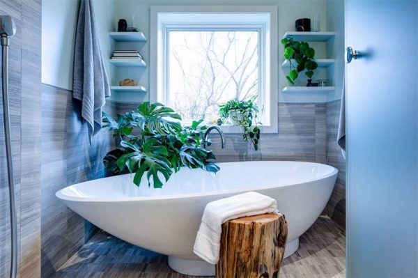 Bathroom plant decor