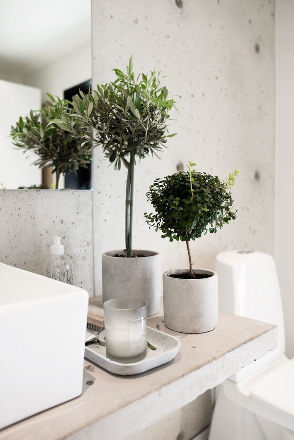 plants in the bathroom