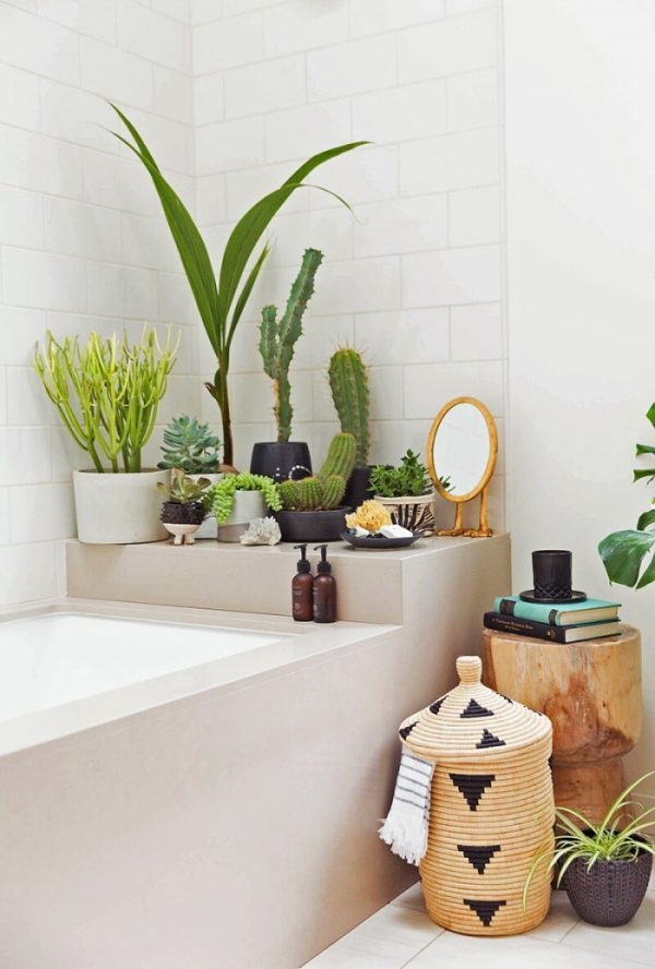plants in bathroom