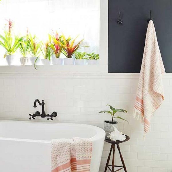 good plants for a bathroom