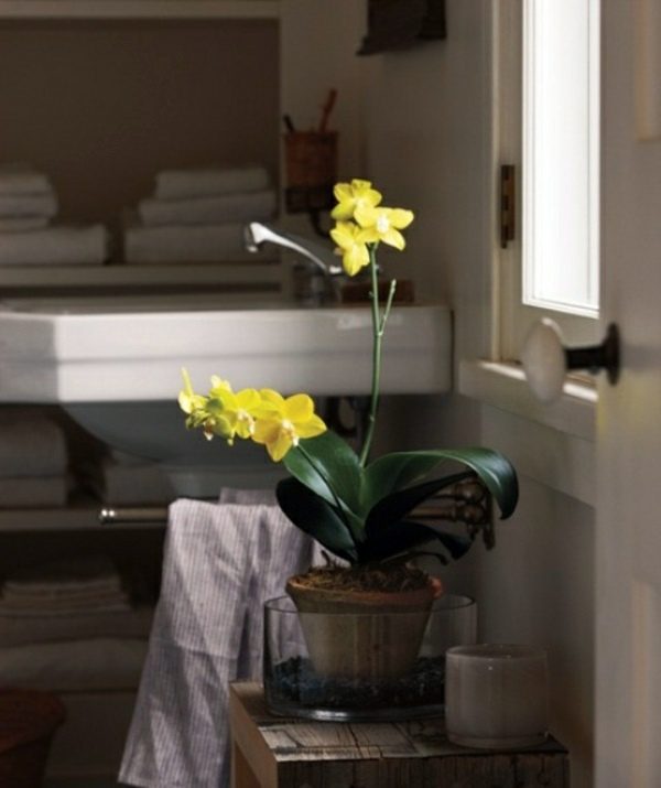 orchid bathroom decor