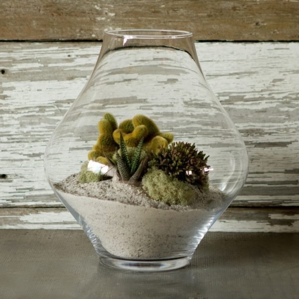 small glass terrarium