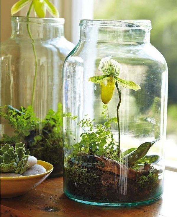 flower terrarium