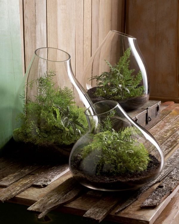 simple terrarium