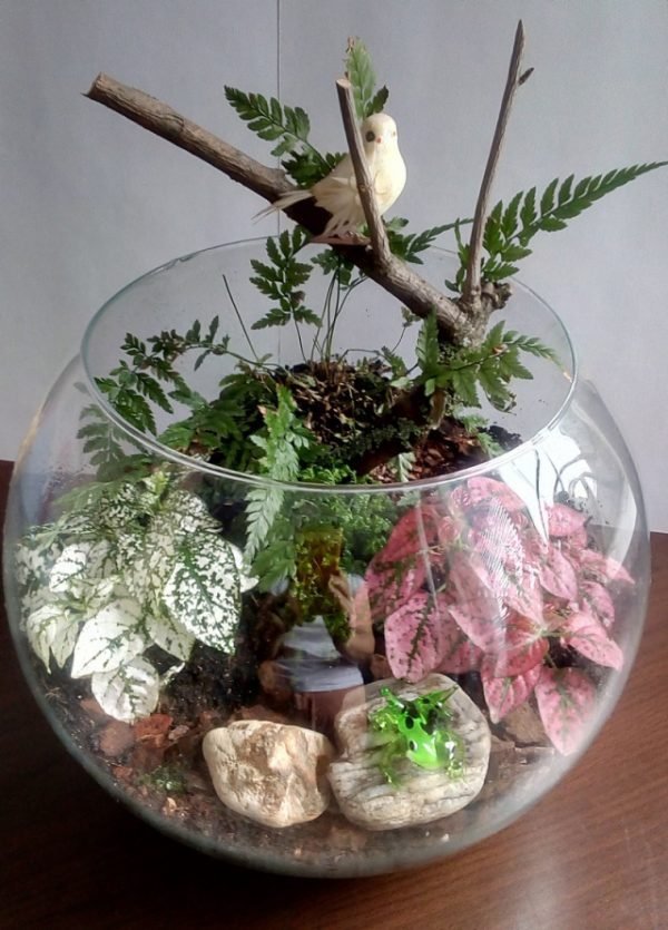 cool terrariums