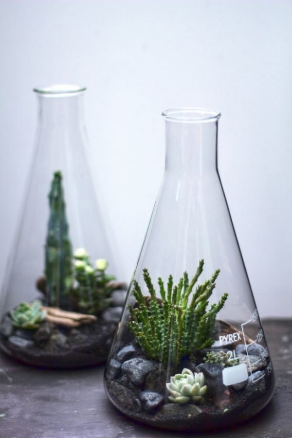 glass terrarium garden