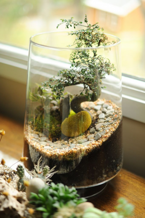 diy glass terrarium
