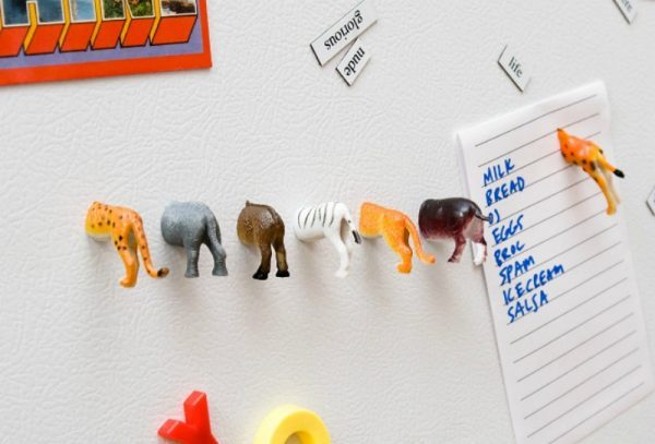 cool fridge magnets