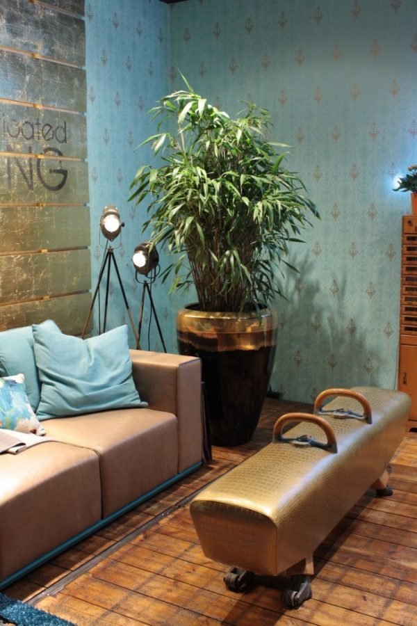 Vintage Gym Equipment as Decor