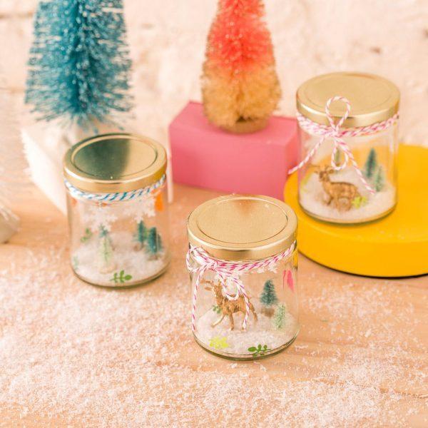 mini jar terrarium