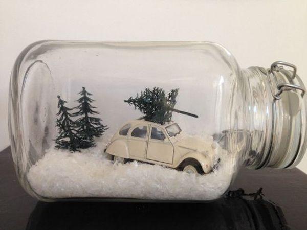 creative terrariums