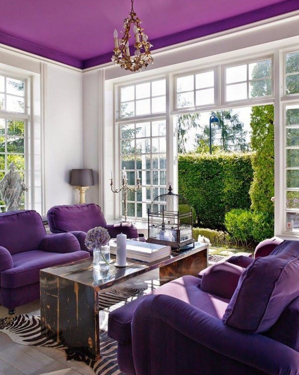 violet home decor